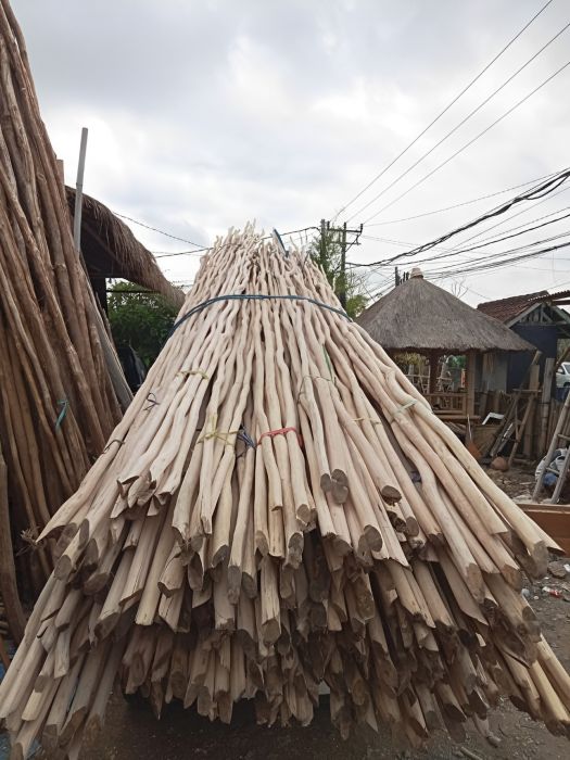 Distributor Kayu Galam