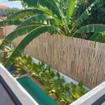 Jasa Pemasangan Pagar Kayu Galam Terbaik