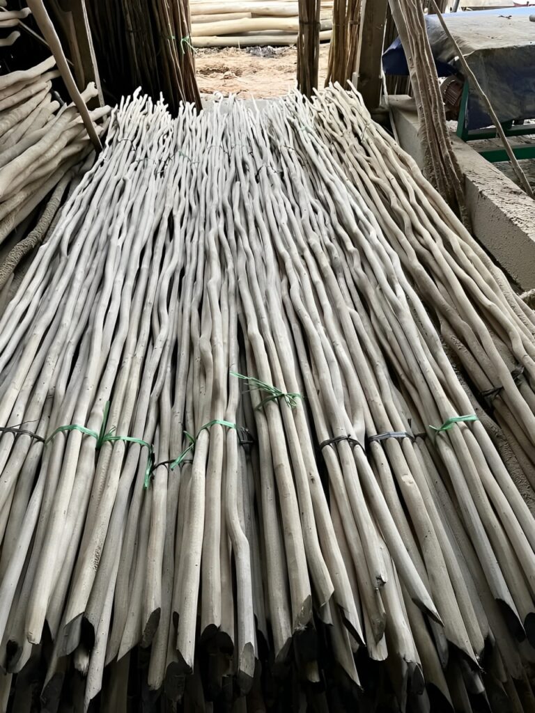 Kayu Galam di Daerah Canggu Bali