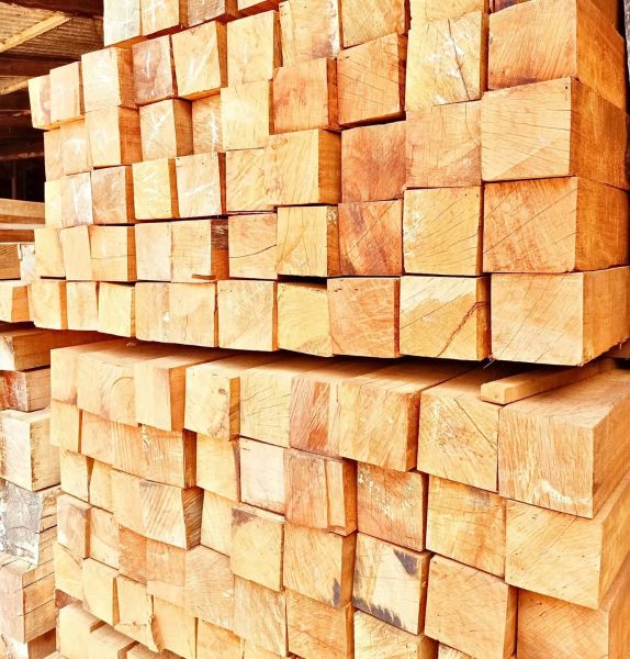 Supplier Kayu Bengkirai
